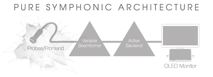 ARIETTA 850 SE(甲状腺特化型) ARIETTA 850 SE(甲状腺特化型)